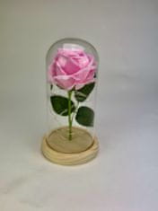 Medvídárek Svítící věčná růže ve skle - růžová