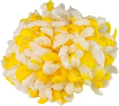 Chryzantéma vosková - bíložlutá (14 cm) - 24 ks