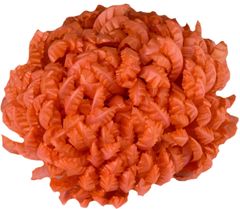 Chryzantéma vosková - oranžová (14 cm) - 24 ks