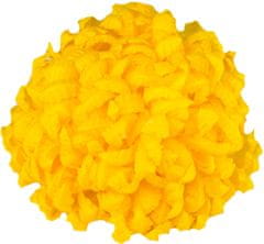Chryzantéma vosková - žlutá (14 cm) - 24 ks
