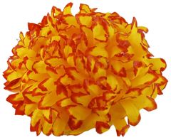 Chryzantéma vosková - žlutohnědá (14 cm) - 24 ks