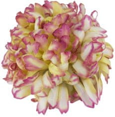 Chryzantéma vosková - zelenofialová (14 cm) - 24 ks
