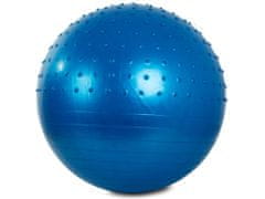 Verk Gymnastický míč s pumpičkou 65 cm modrá