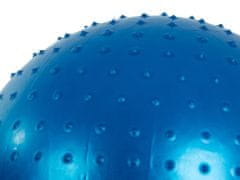 Verk Gymnastický míč s pumpičkou 65 cm modrá