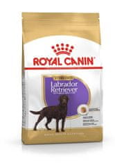shumee Royal Canin BHN Labradorský retrívr Sterilized Adult - suché krmivo pro dospělého psa - 12 kg