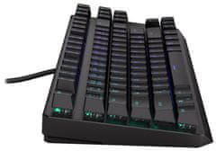 Endorfy herní klávesnice Thock TKL Kailh RD RGB /USB/ red sw. / drátová / mechanická / CZ/SK layout / černá RGB
