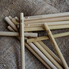 Naklíčeno 3 bambusová brčka