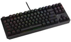 Endorfy herní klávesnice Thock TKL Kailh RD RGB /USB/ red sw. / drátová / mechanická / US layout / černá RGB