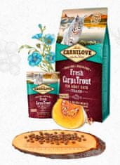 Carnilove CARNILOVE cat FRESH STERILISED CARP/trout - 400g