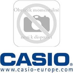 Casio DT 5057 CF LASER SCANNER