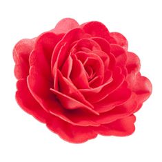 Dekora Jedlý cukrový obří květ růže 12,5cm -