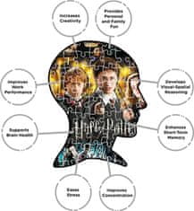 Aquarius Puzzles Puzzle Harry Potter: Filmové plakáty 1000 dílků