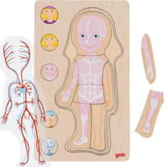 Goki Vícevrstvé puzzle Lidské tělo Dívka