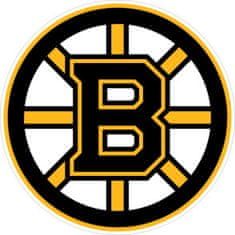 AUTOSAMOLEPKY.cz Samolepka Boston Bruins NHL 30 cm