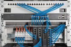Digitus 1U kartáčový panel pro správu kabelů pro 483 mm (19 ”) serverové skříně, barva černá (RAL 9005)