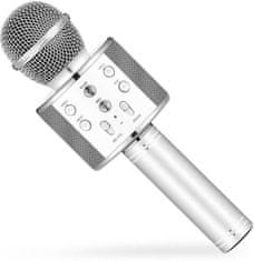 Eljet Karaoke mikrofon Eljet Globe Silver