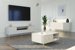 Homlando TV stolek PETRA 180 cm 2D1S frézovaná kašmírový se zlatými nohami