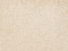 AKCE: 55x675 cm Metrážový koberec Tagil / 10231 krémový (Rozměr metrážního produktu Bez obšití)