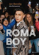 Štichauerová Jitka: Roma boy - Příběh nekončí