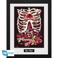 GB eye Rick and Morty Zarámovaný plakát - Anatomy Park