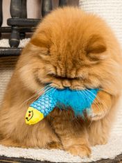 Japan Premium Hračka pro kočky "Rybka" s vybranou funkcí péče o kočičí zuby a škrabadlem