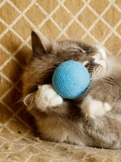Japan Premium Hračka pro kočky a koťata, barevná klubíčka se zvukem, 2 kusy