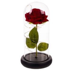 Malatec Růže ve skle svítící
