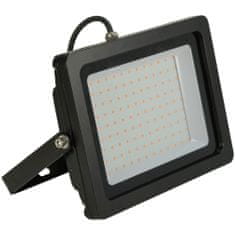 Eurolite LED IP FL-100 SMD zelené LED, venkovní reflektor