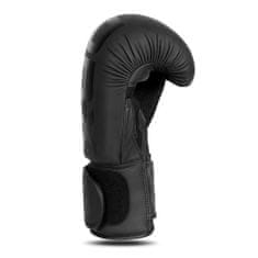 DBX BUSHIDO boxerské rukavice B-2v21 12 oz.