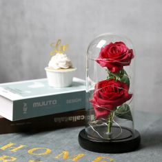 Korbi Věčná růže ve stínu, červená růže, dárek ke dni svatého Valentýna nebo ke dni žen, WR6