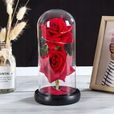 Korbi Věčná růže ve stínu, červená růže, dárek ke dni svatého Valentýna nebo ke dni žen, WR6