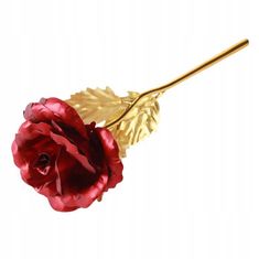Korbi Červená věčná růže s láskou, dárek ke dni svatého Valentýna nebo ke dni žen, WR10