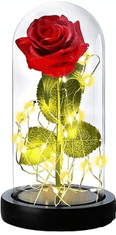 Korbi Červená věčná růže ve stínu, vedená růže, dárek ke dni svatého Valentýna nebo ke dni žen, WR7