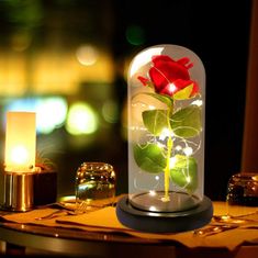 Korbi Červená věčná růže ve stínu, vedená růže, dárek ke dni svatého Valentýna nebo ke dni žen, WR7
