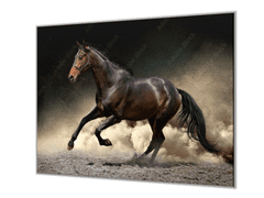 Glasdekor Ochranná deska černý kůň klusající v prachu - Ochranná deska: 55x55cm, Lepení na zeď: Bez lepení na zeď