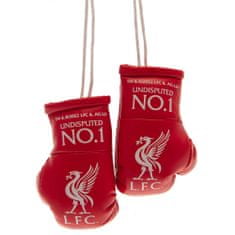 FotbalFans Boxerské rukavice Liverpool FC, červené, přívěsek, znak LFC