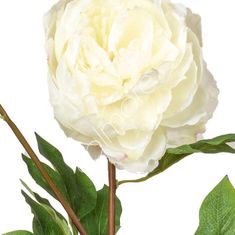 Colmore by Diga Dekorativní květina Pivoňka bílá, 100 cm, Colmore