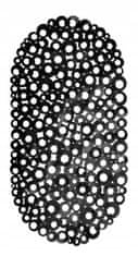 Galicja Koupelnová protiskluzová podložka do vany černá 69 x 39 cm