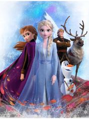 BrandMac Velká dívčí fleecová deka Ledové království / Frozen