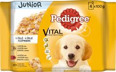 PEDIGREE kapsička 4 pack JUNIOR v ŽELÉ: kuřecí-rýže a hovězí-rýže 400g