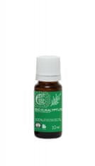 Tierra Verde Tierra Verde – Esenciální olej BIO Eukalyptus 10 ml