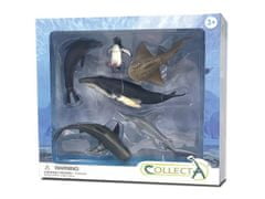COLLECTA Collecta Sada mořských živočichů, figurky pro děti 3+ 