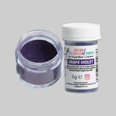 Sugarflair Colours blossom tint - prachová barva - Grape violet - 5g