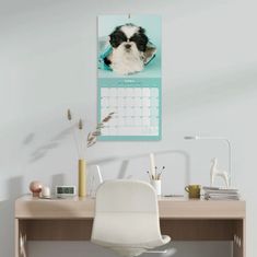 CurePink Oficiální nástěnný kalendář 2024 16 měsíců Simon K. & Greg C.: Psi (30 x 30|60 cm)