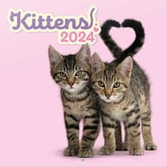 CurePink Oficiální nástěnný kalendář 2024 16 měsíců: Kočky|Koťata (30 x 30|60 cm)