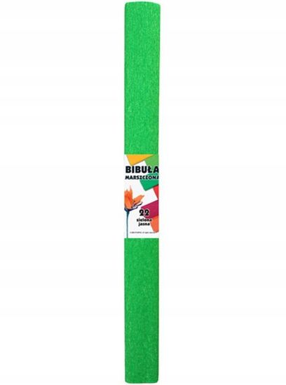 BTS Školní vliesový papír světle zelený 50 x 200 cm
