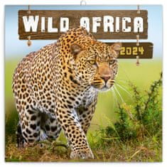 Presco Publishing Poznámkový kalendář Divoká Afrika 2024, 30 × 30 cm