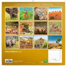 Presco Publishing Poznámkový kalendář Divoká Afrika 2024, 30 × 30 cm