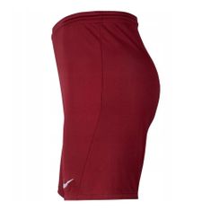 Nike Kalhoty vínově červené 173 - 177 cm/S Dry Park Iii