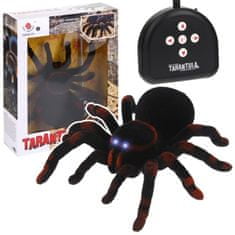 Nobo Kids Spider Tarantula dálkové ovládání LED + dálkové ovládání R/C